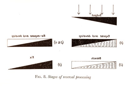 Stages of Reversal